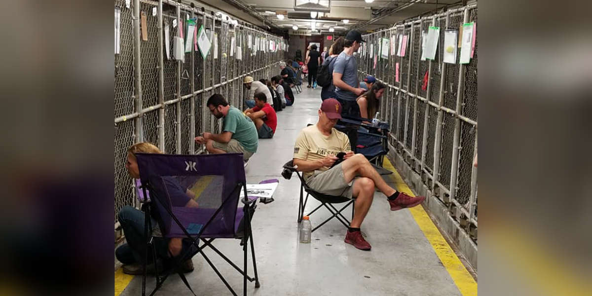 People Are Skipping Fireworks This Year To Comfort Scared Shelter Dogs