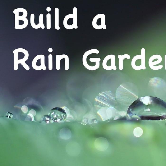Build a Rain Garden - Landscaping Product News