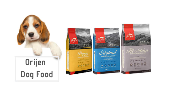 6 Best Orijen Dogs Food for Puppies - Review Guide 2020