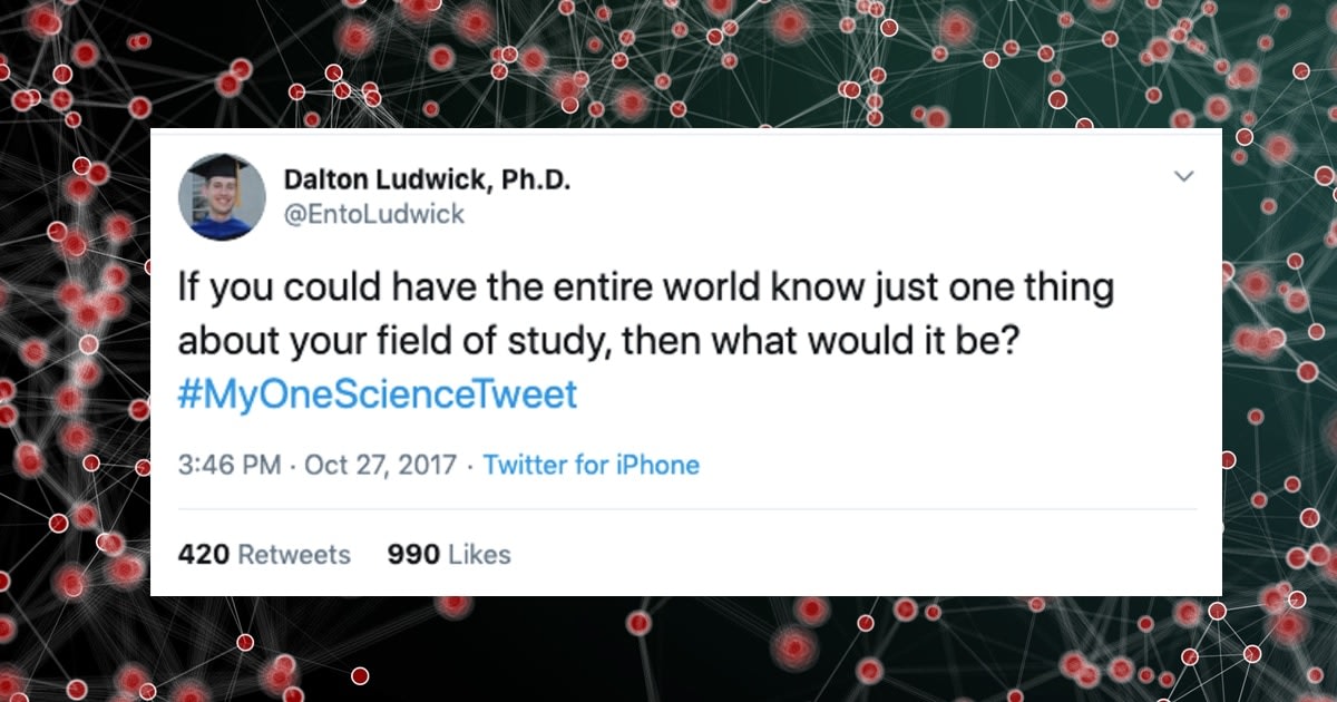 Scientists on Twitter Are Sharing the Most Interesting Facts They Want the Entire World to Know