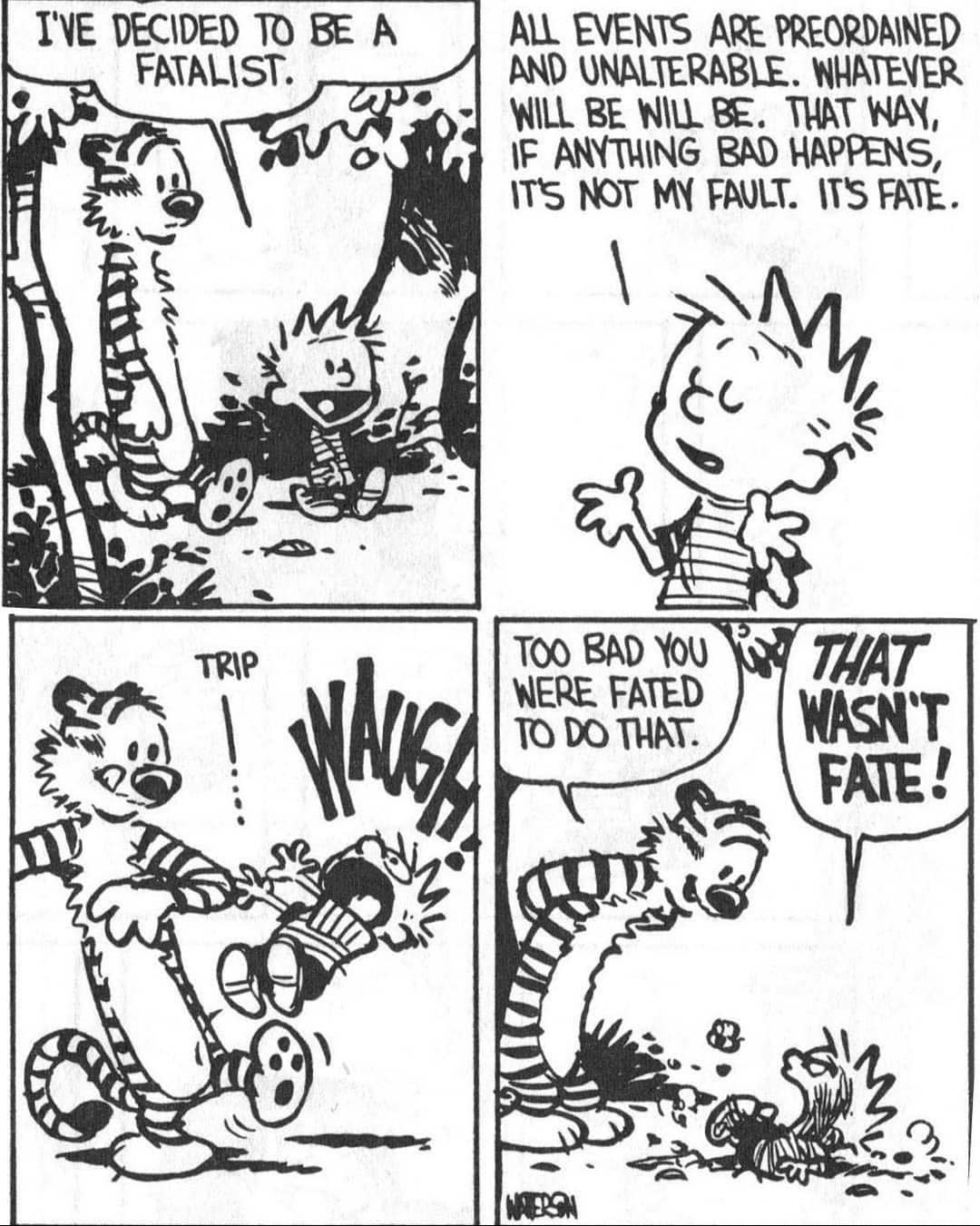Why do you need a teacher when you have Hobbes?