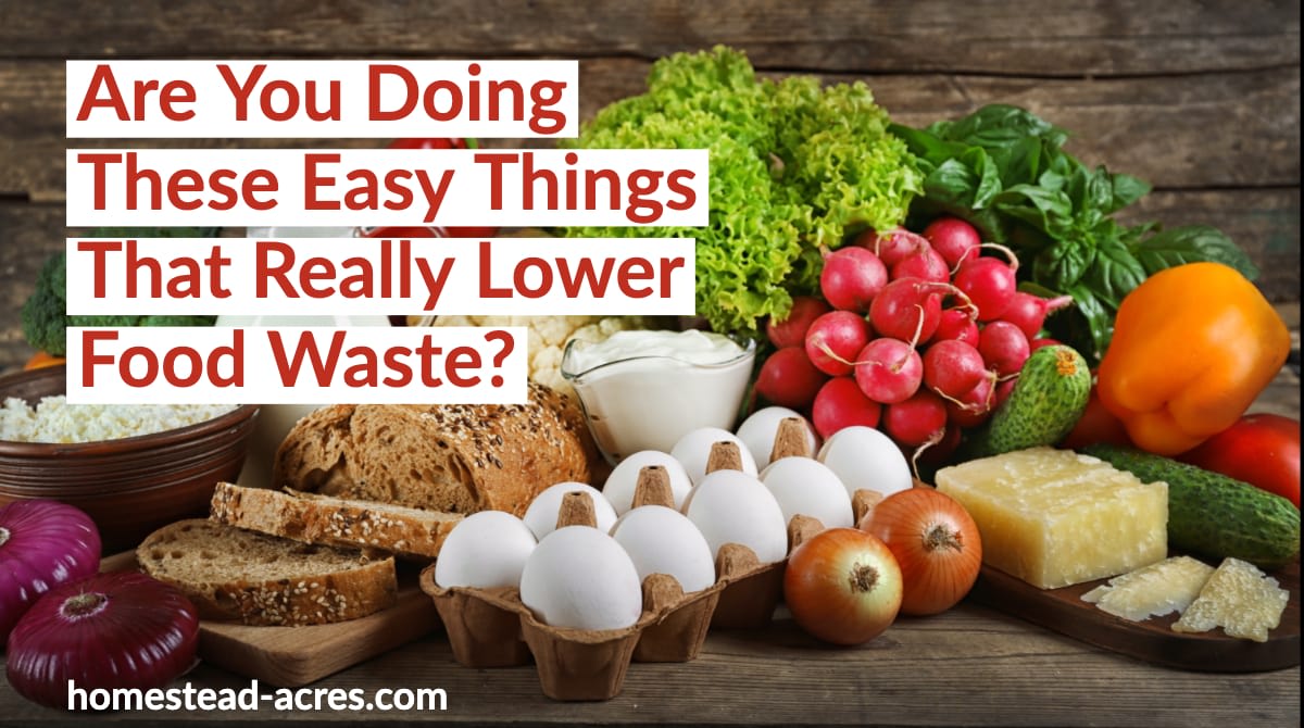 11 Easy Ways To Reduce Food Waste In Your Home - Homestead Acres