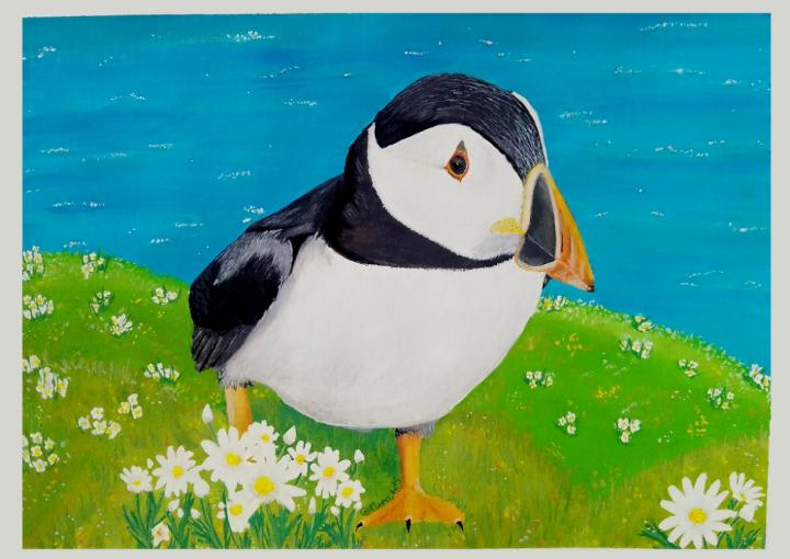 Atlantic Puffin, hand painted by me 🥰
