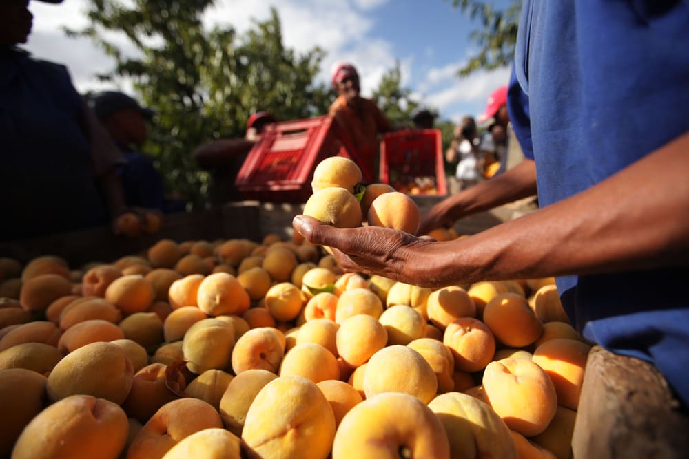 State Department Issues Travel Ban Exemption for South African Farmworkers