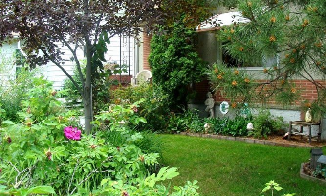 Beautiful Front Yard Landscape that Gives a Good Property Impression