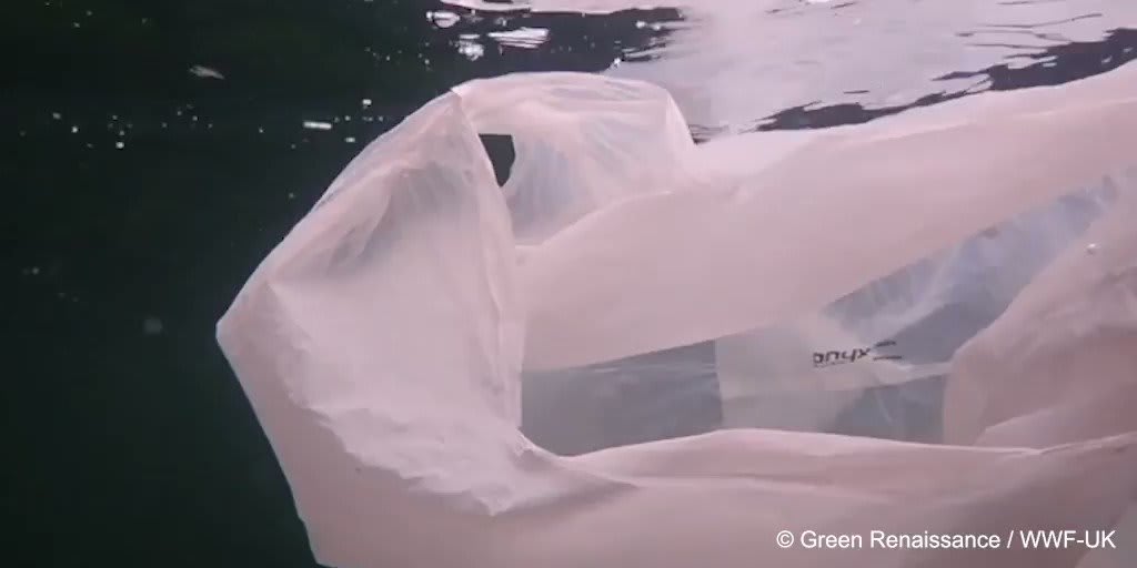 This is a plastic emergency🥤🧺An @INTERPOL_EC report has found that some of the plastic we think is being recycled is, in fact, being illegally dumped, burned and hoarded.