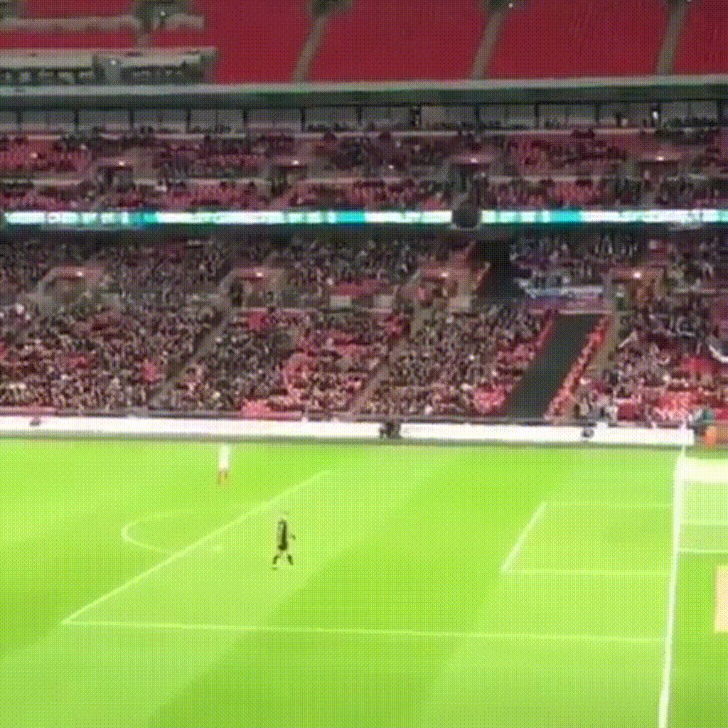 Best goal of the night at Wembley goes to... a paper airplane