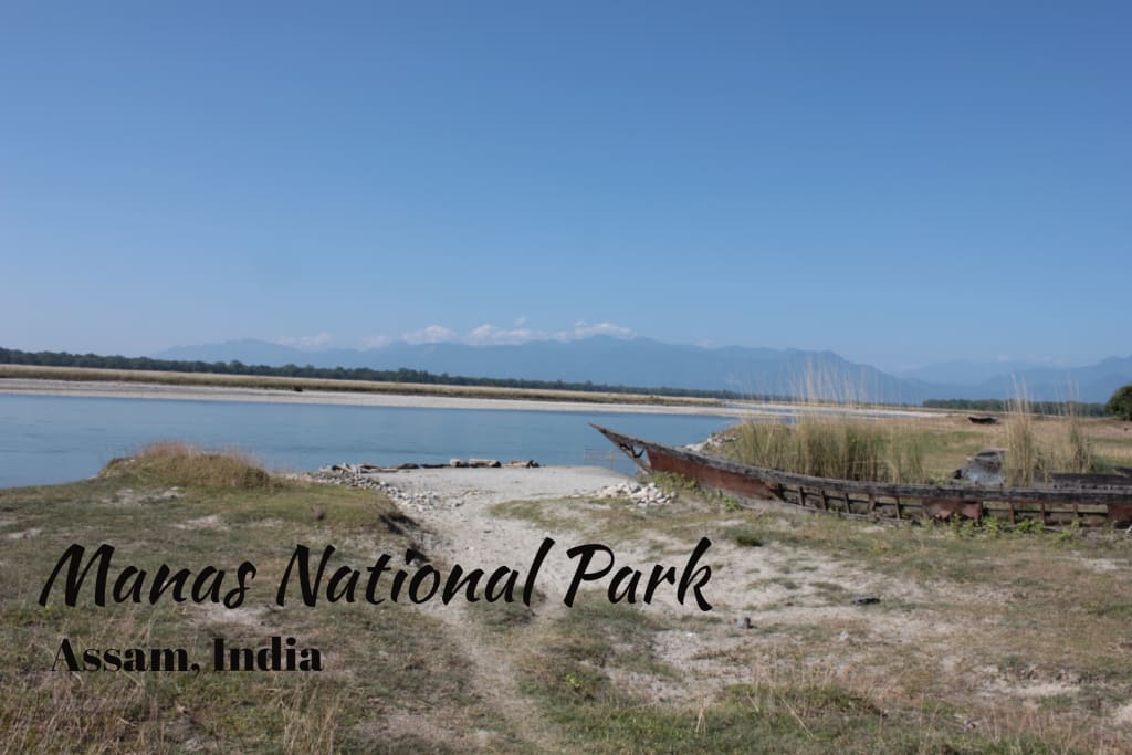 4 Reasons to visit Manas National Park - Explore with Ecokats