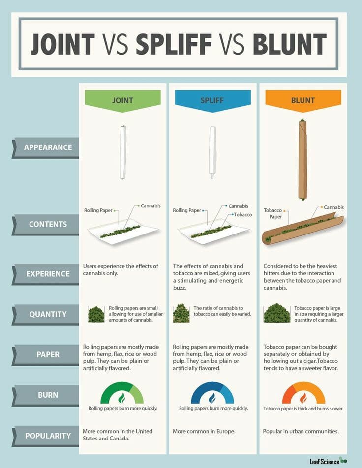 A little guide on 420☘️