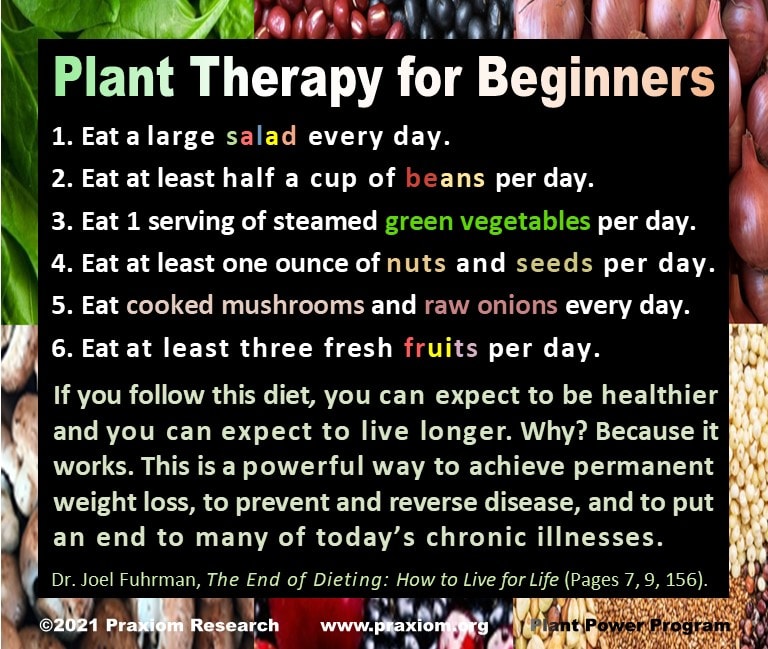 Plant Therapy for Beginners
