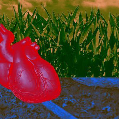 See lab-grown human heart tissue beat like a real heart