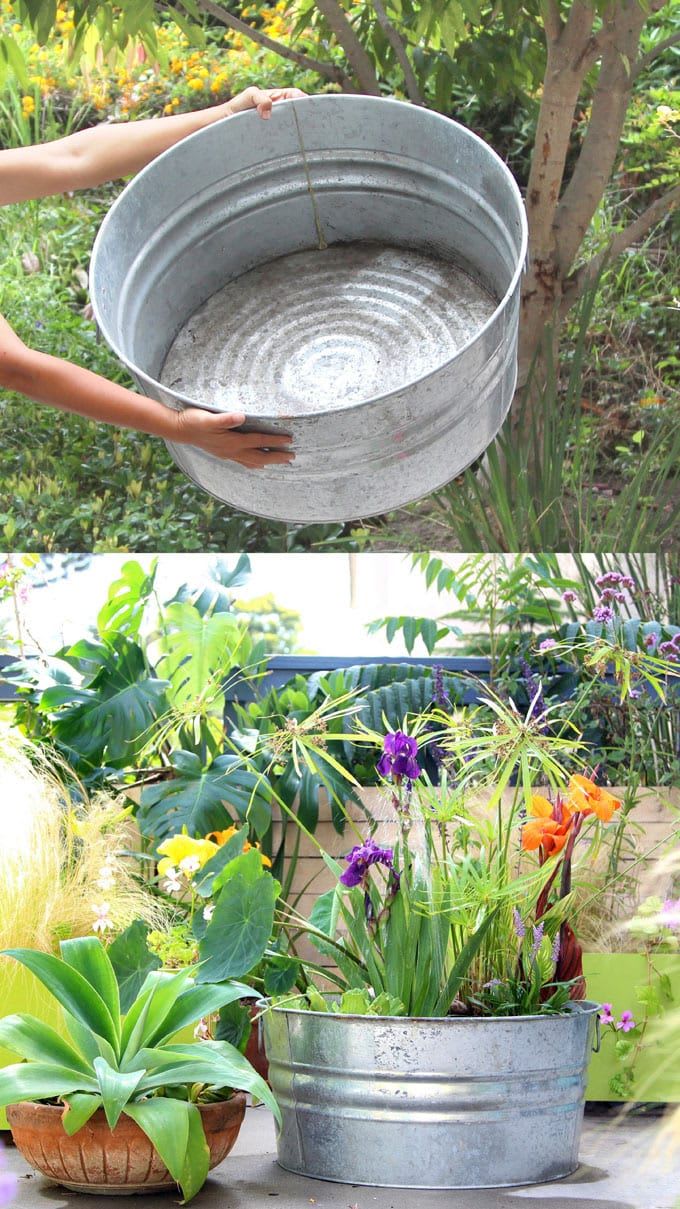Easy DIY Solar Fountain in 1 Hour {with Pond Water Plants}