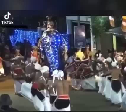 Elephant in religious pageant causes some chaos