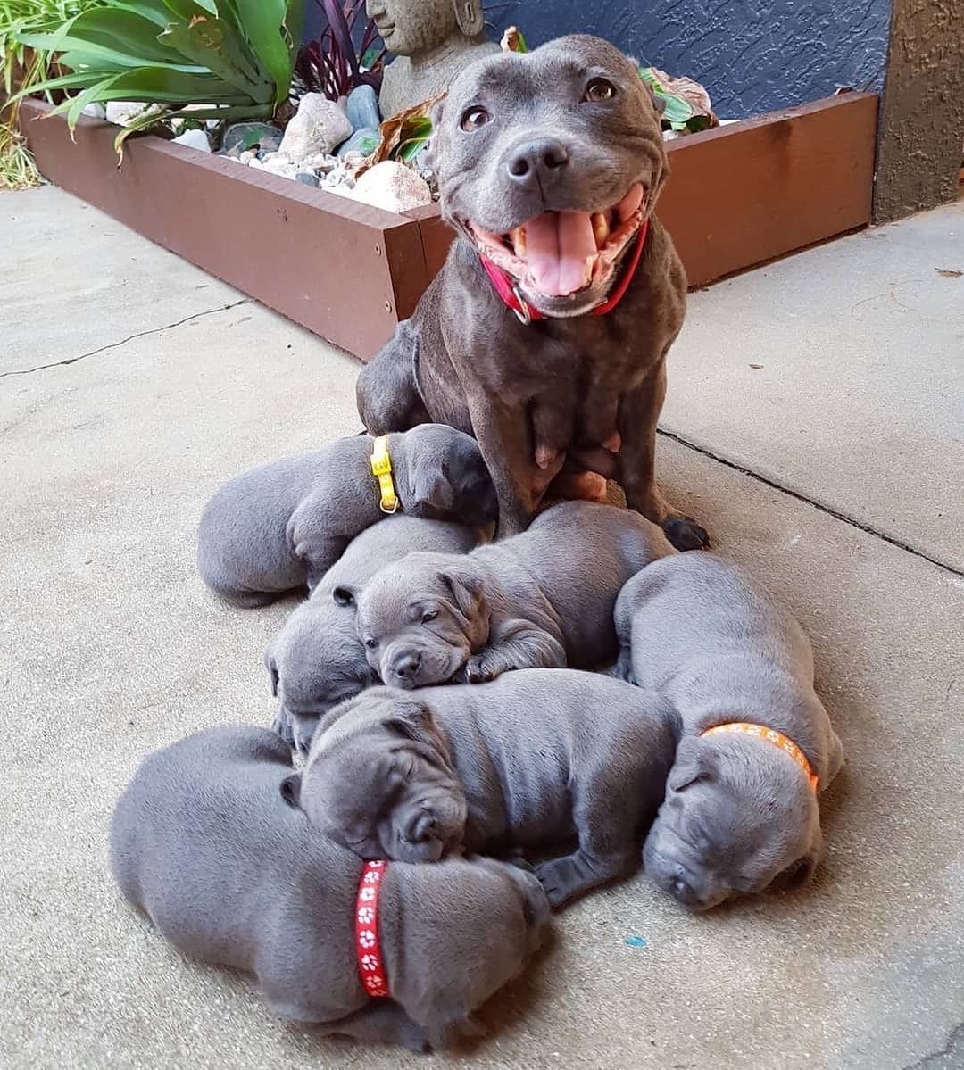 That one proud mommy