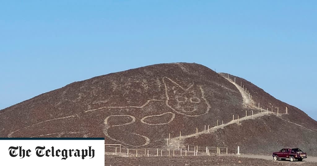 Drawing of a huge cat discovered in Peru's Nazca hills