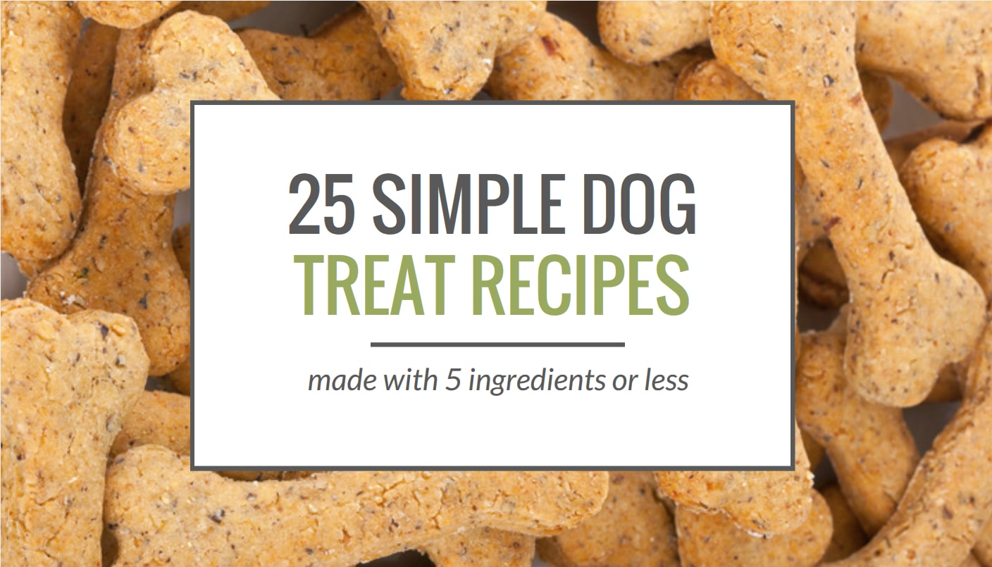 25 Simple Dog Treat Recipes: Made With 5 Ingredients or Less