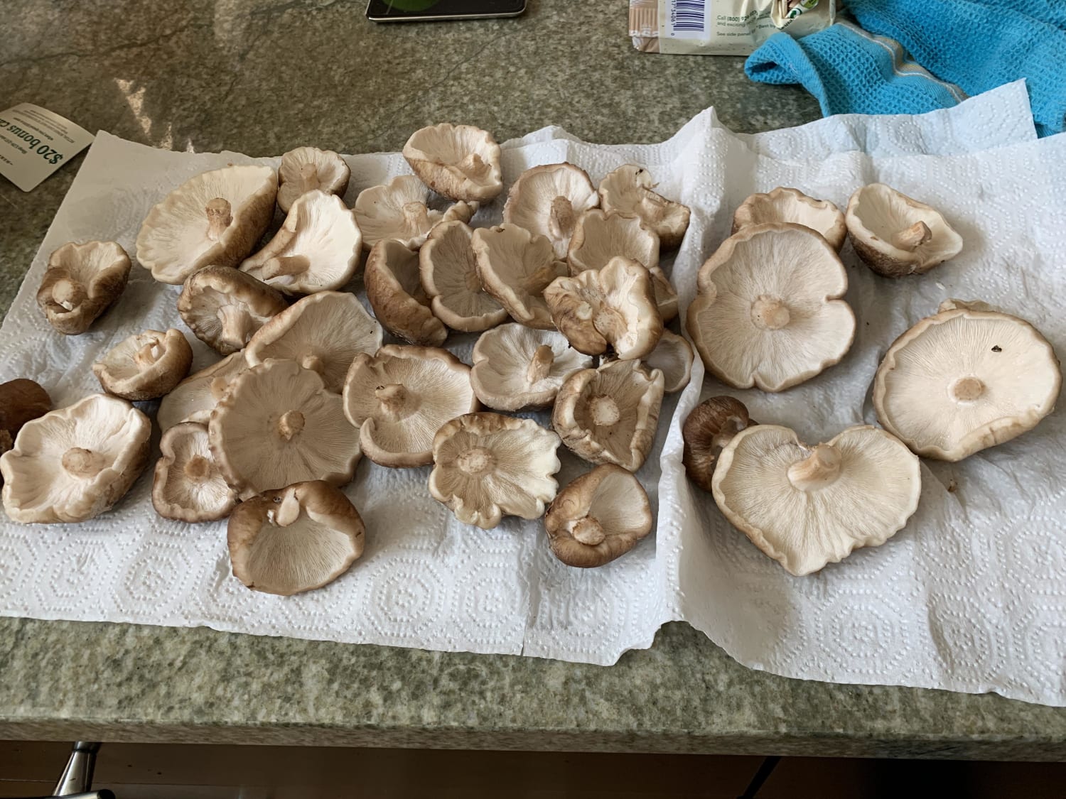 Looking for recipes that use shiitake mushrooms - here's our first harvest! I prefer them as part of larger recipe, not by themselves.