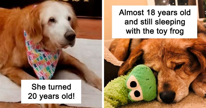 40 Wholesome Pics Of Good Old Boys That Are Too Cute For This World (New Pics)