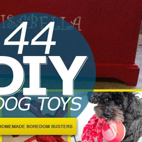 44 Really Cool Homemade DIY Dog Toys Your Dog Will Love