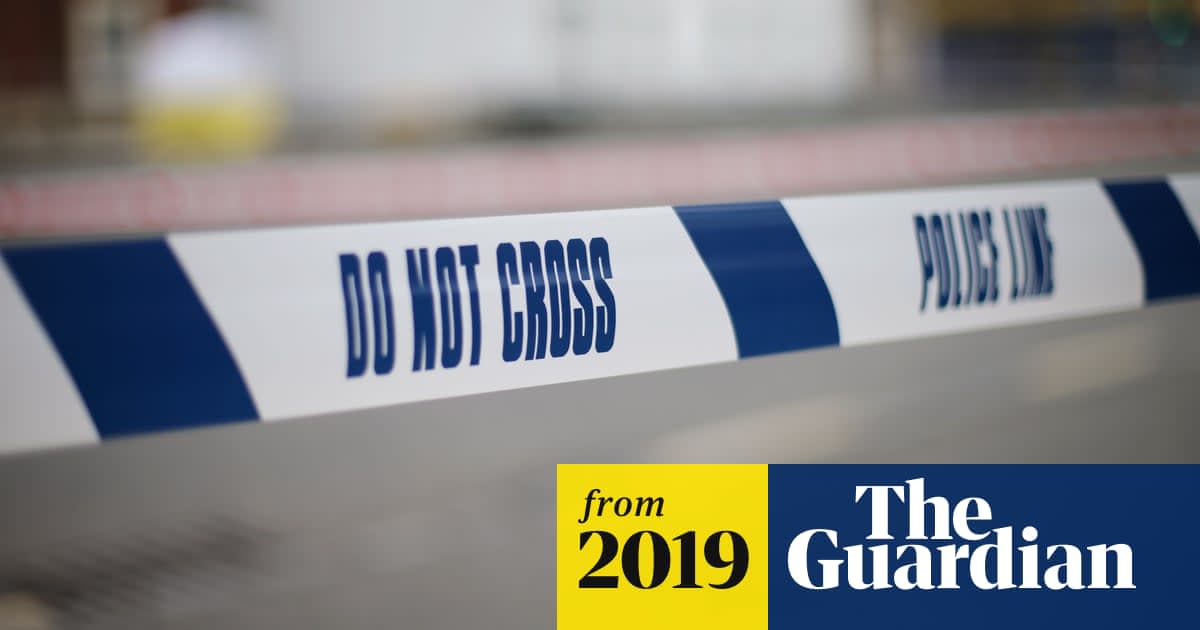 Murder inquiry launched after man stabbed in north London