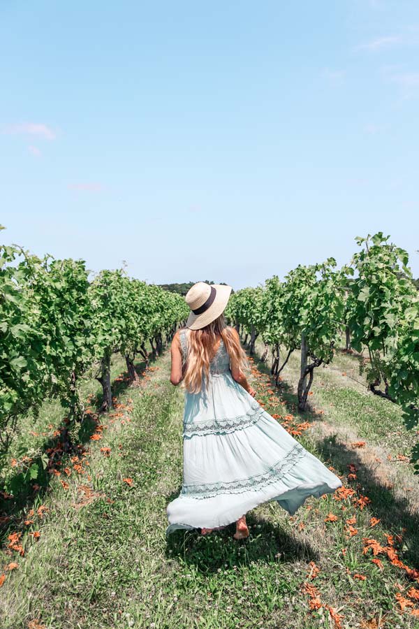 Best Vineyards on Long Island, NY - Just Outside NYC!