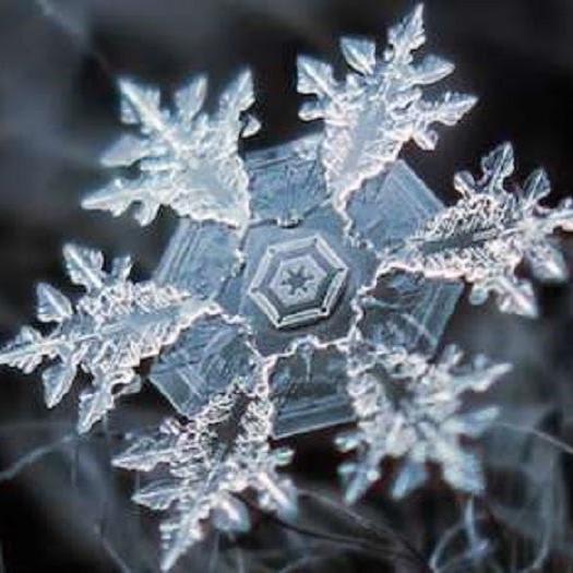 Amazing macro-photography of individual snowflakes [10 Pictures]