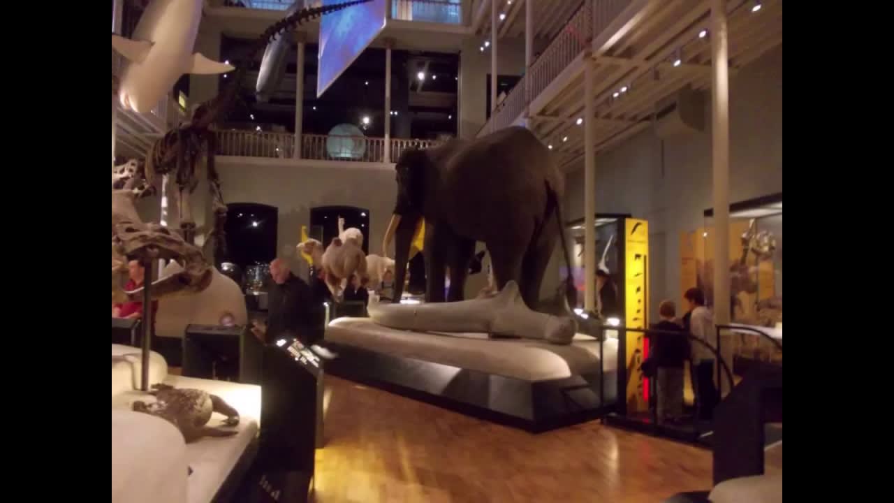 visit the National Museum of Scotland