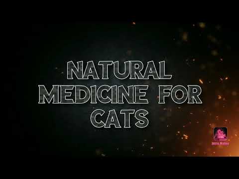Effective and save cost for cats medicine. Natural and no chemicals. Effective and save cost.