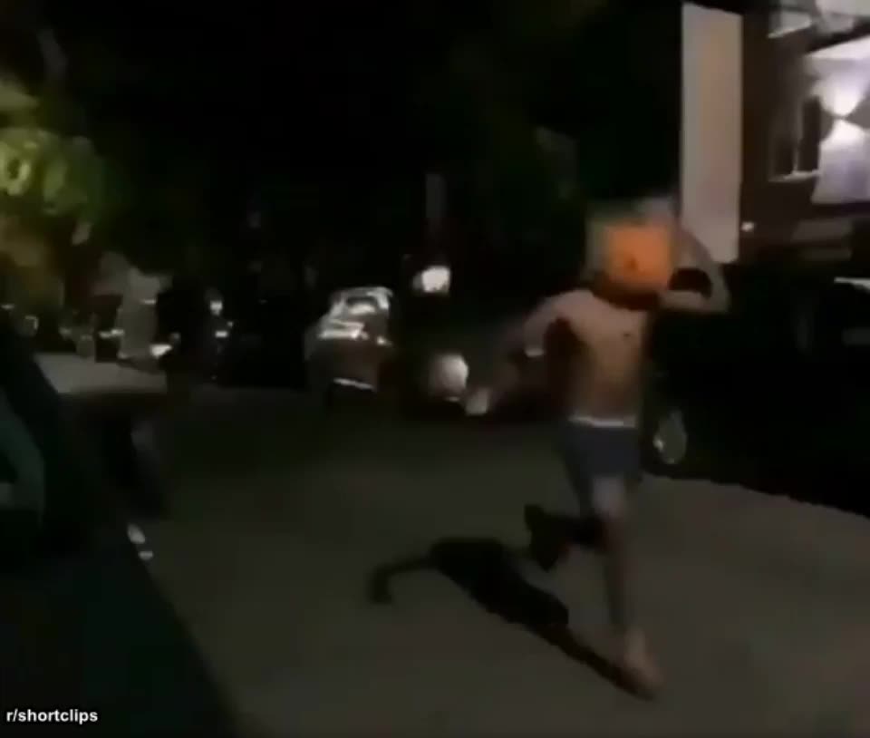 Half naked pumpkin man chased by flame throwing extinguisher with cops nearby (r/shortclips)