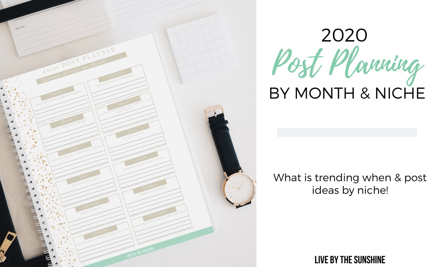 2020 Post Planning in 1 Hour or Less- By Niche & Month - Live by the Sunshine