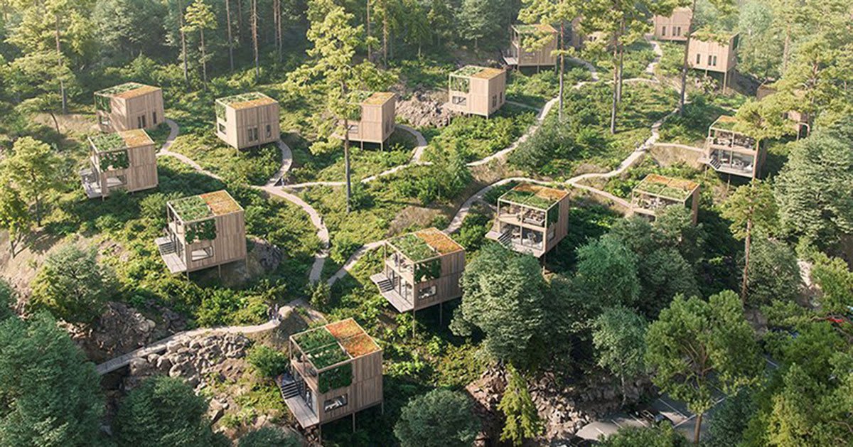 sustainable wooden cabin development settles harmoniously on norwegian coast