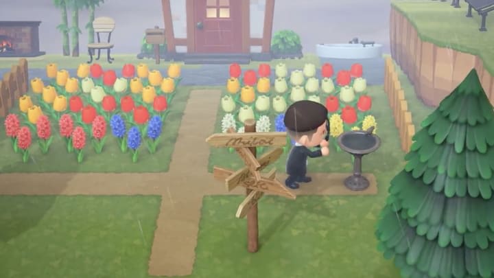 ACNH: How to Get Purple Hyacinth Guide
