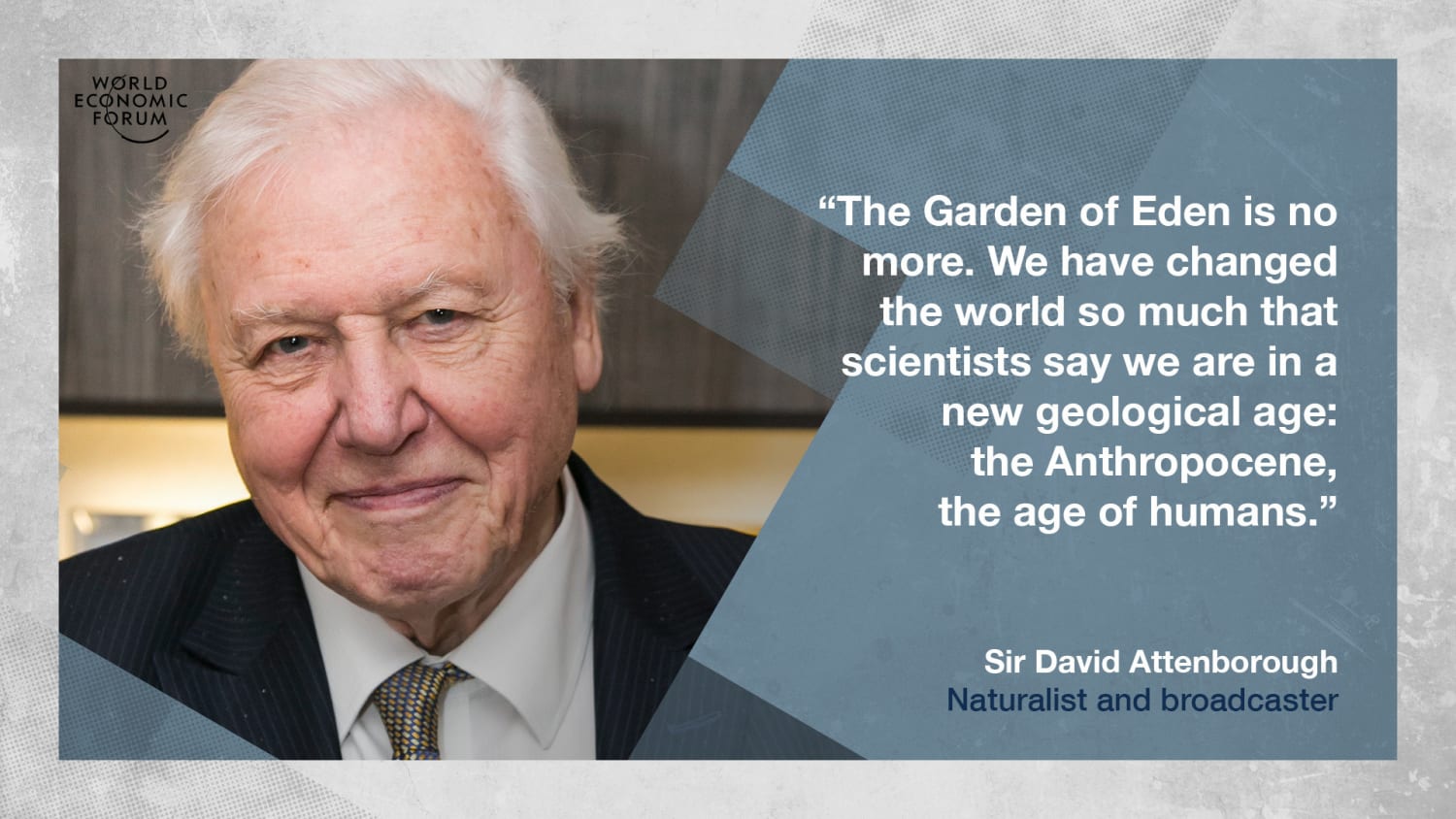 David Attenborough: 'The Garden of Eden is no more'. Read his Davos speech in full
