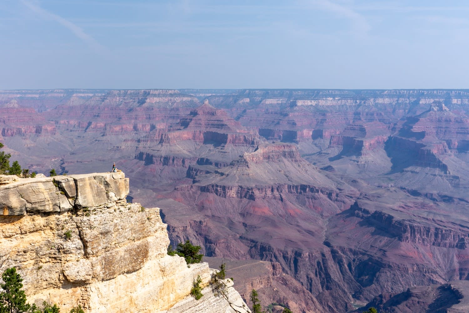 Grand Canyon North Rim vs South Rim - Which Side Should You Visit?