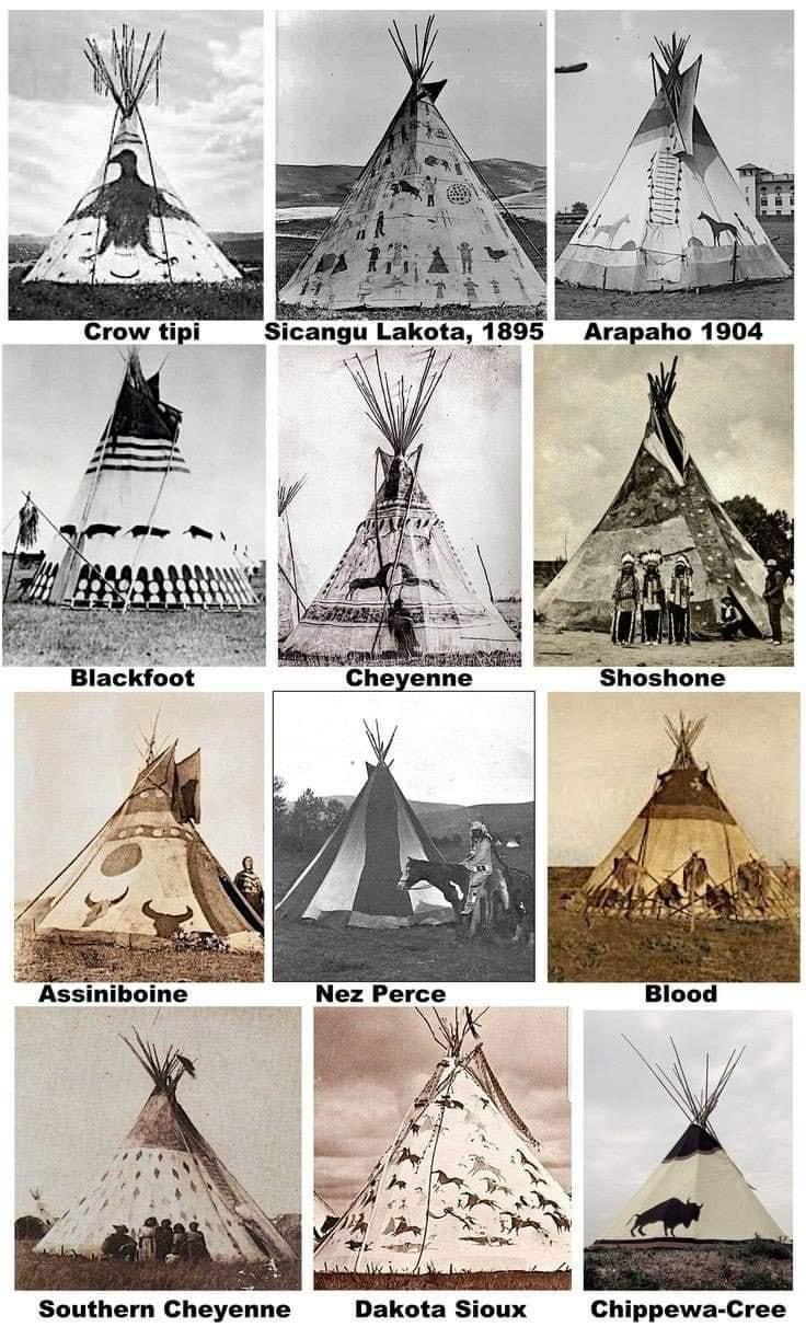 Native Americans only used tipi’s if living on the Great Plains and Canadian Prairies. Other tribes like the Cherokee made rudimentary houses from the more wooded areas in which they dwelled. “Tipi” and “Teepee” are both considered correct.