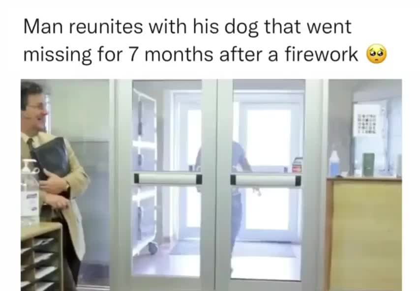 Man reunites with his dog that went missing for 7 months!