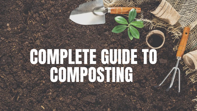 A Complete Guide to Composting and Worm Farms