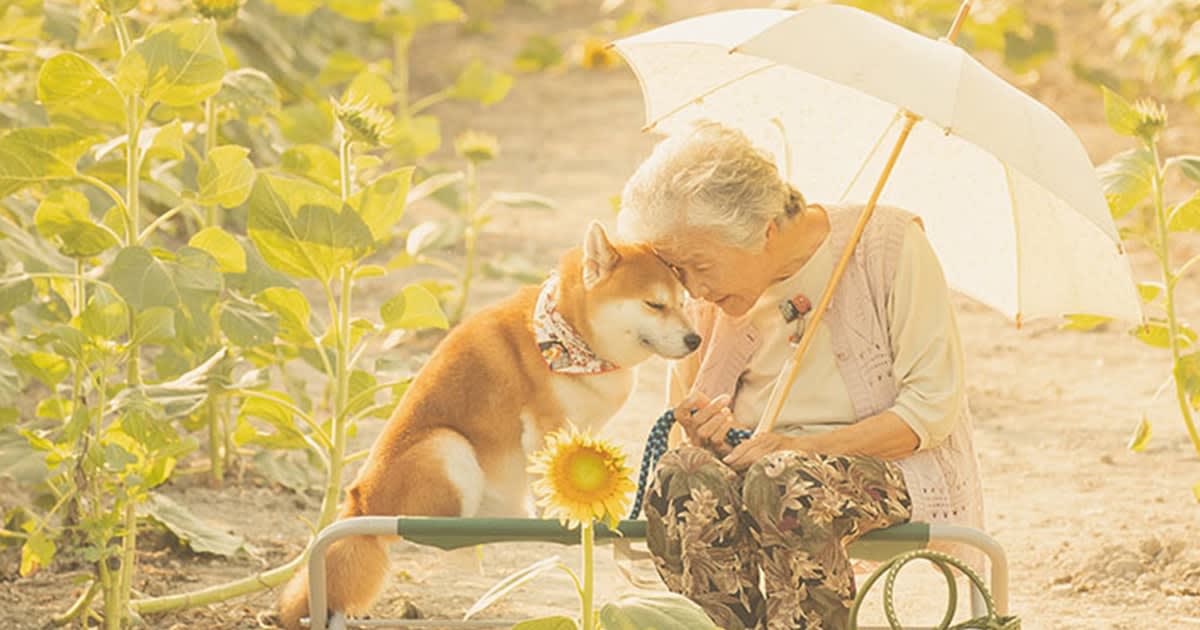 Photographer Captures the Adorable Friendship Between His Grandma and Her Dog