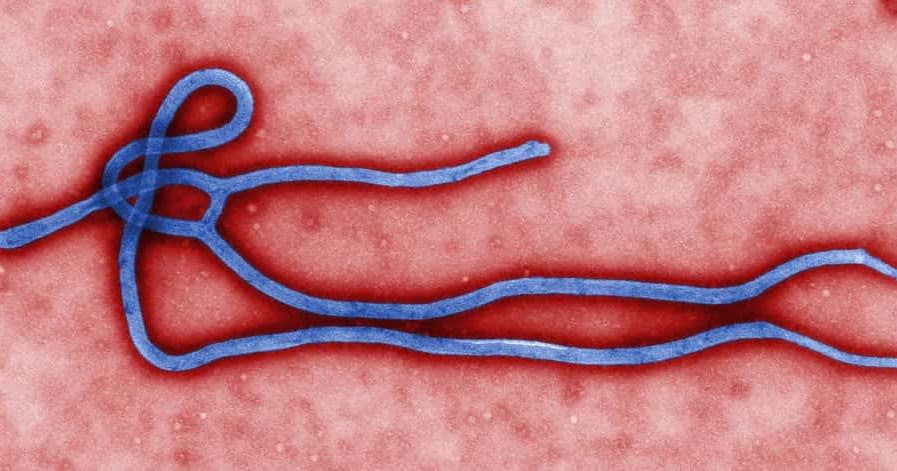 Number of Ebola Spreads in Eastern DRC