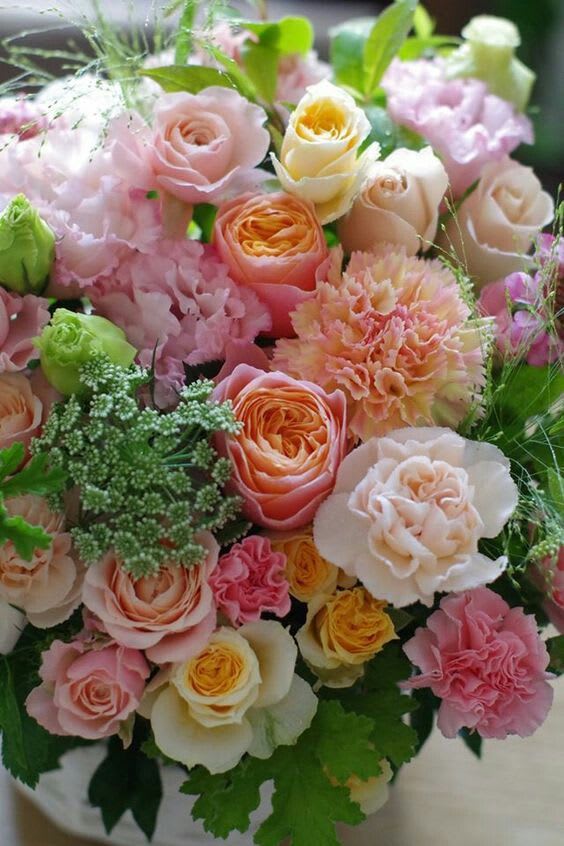 Пин от пользователя Yamileth CA на доске Flores | Цветочные композиции, Красивые розы, Красивые цветы