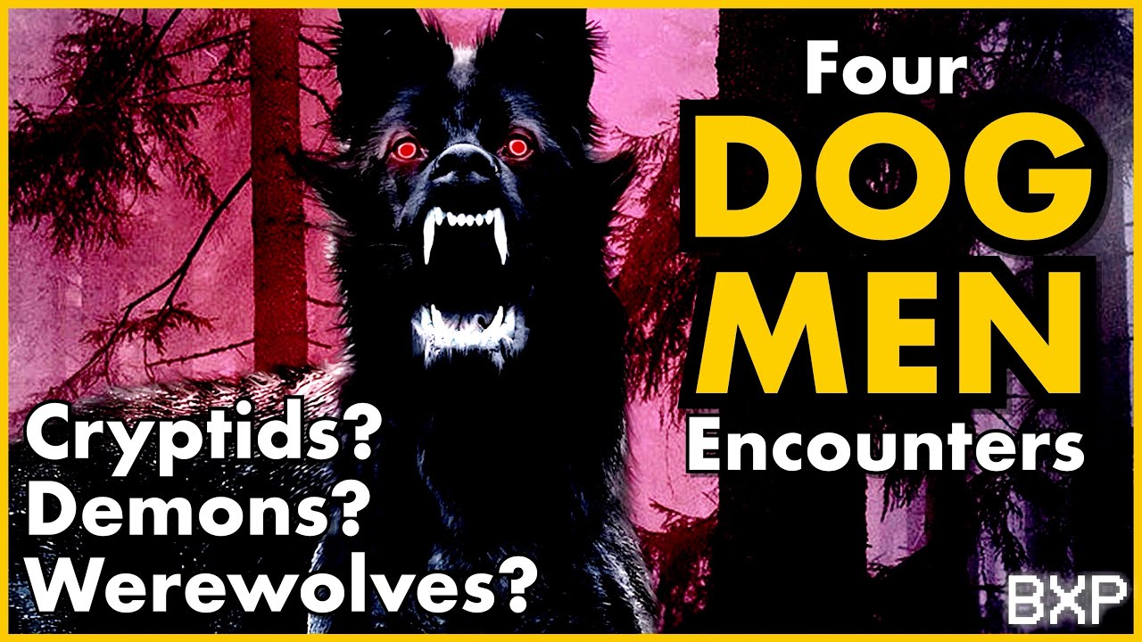 Are Dogmen sightings increasing? What are Dogmen? Four true first person Dogman encounters! BXP A028