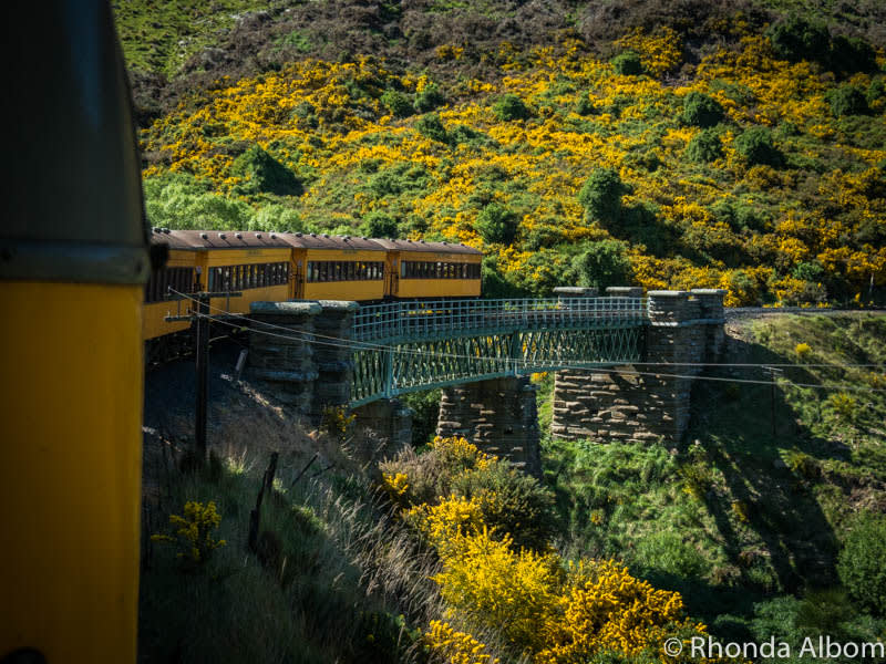 Taieri Gorge Train: A Railway Adventure in New Zealand