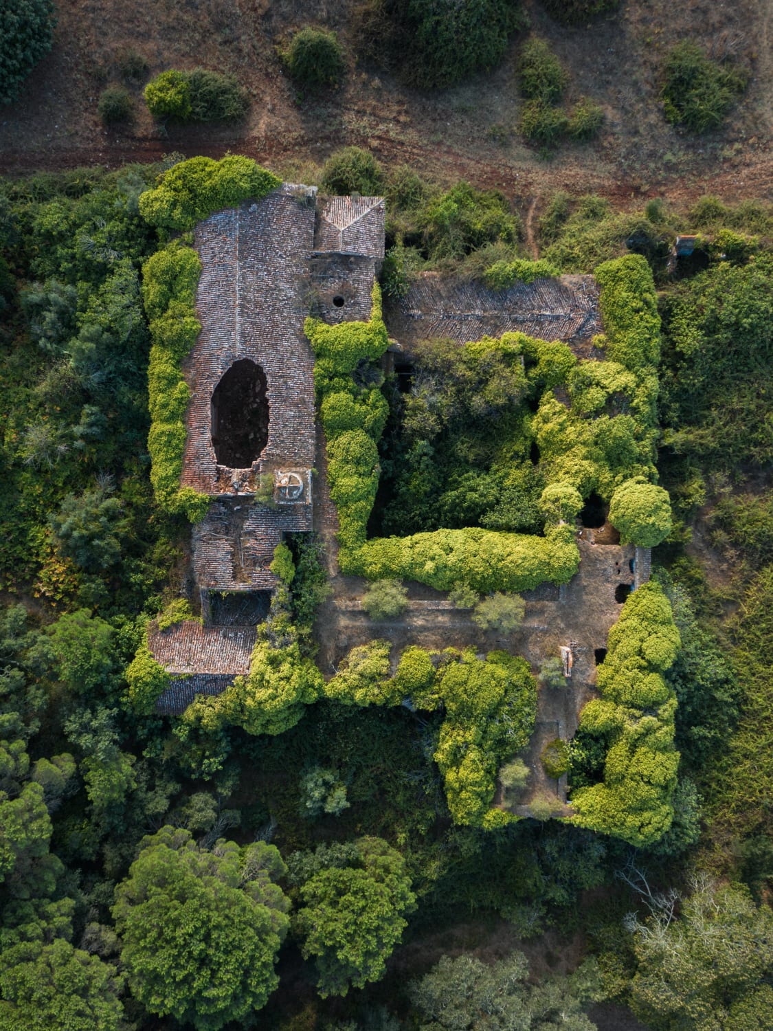 Abandoned 18th-century Portuguese monastery enclosed by green wilderness