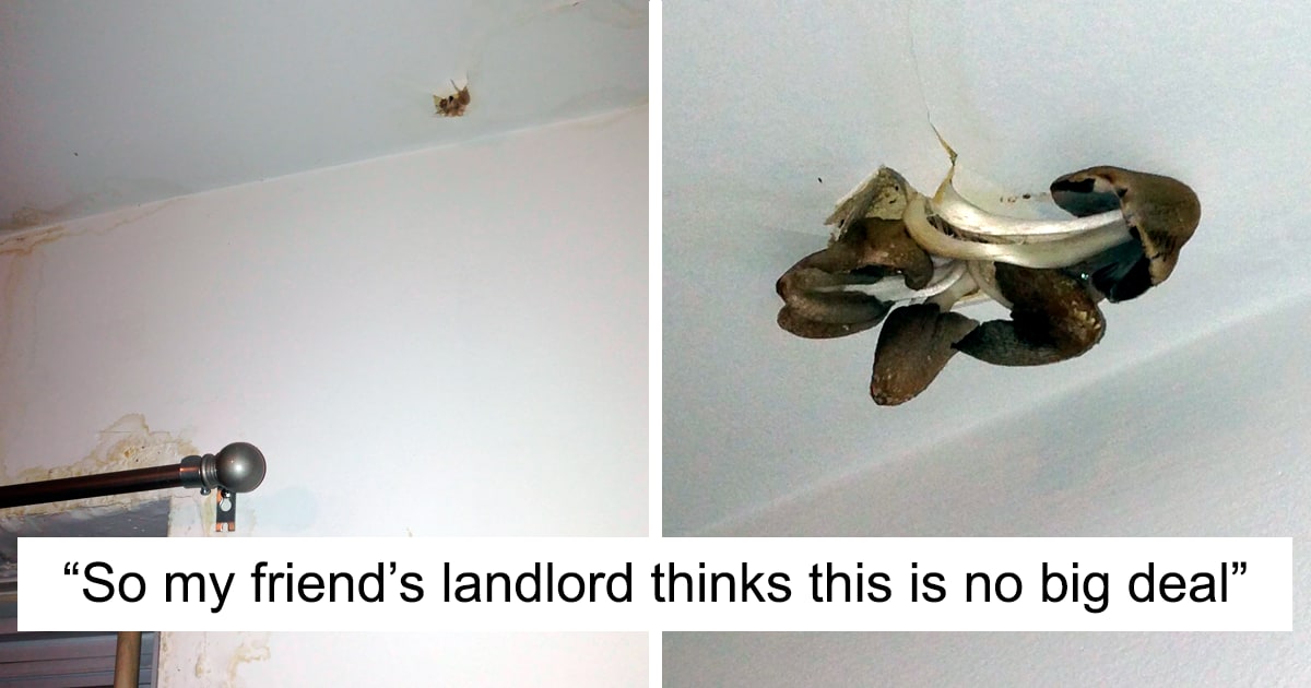 30 Times Landlords Neglected Their Tenants So Much, They Had To Take Pics As Evidence