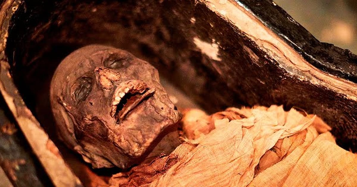 Please stop what you're doing and listen to this ancient mummy's voice