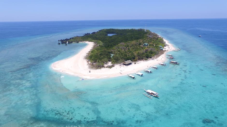 Halinat Lumangoy Kasama Ang Mga Pawikan Sa Apo Island