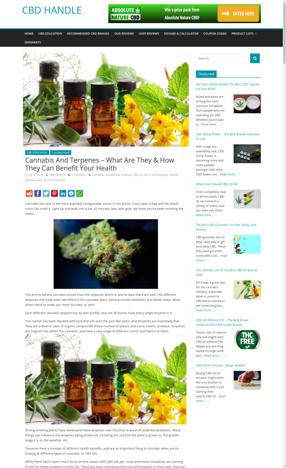 Cannabis And Terpenes -What Are They & How They Can Benefit Your Health