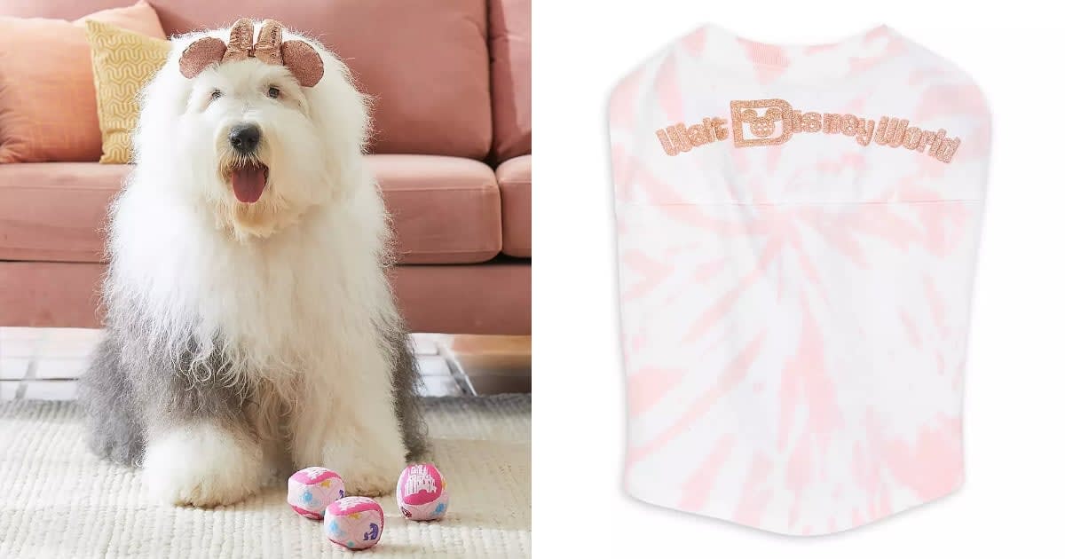 If Pets Could Talk, We're Pawsitive They'd Ask For These 50 Disney Gifts