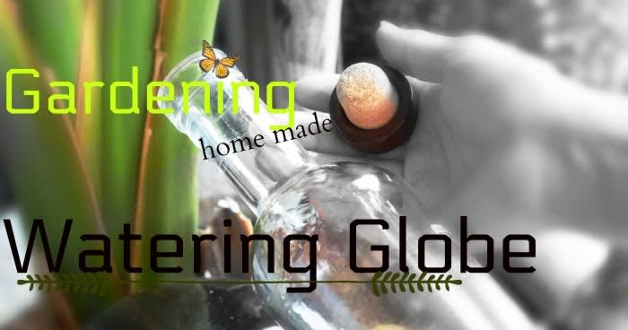 How to Make a Plant Watering Globe