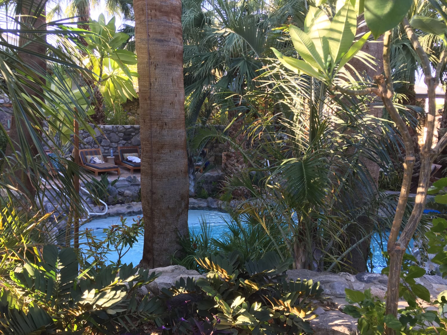 Taking a Wellness Break at Two Bunch Palms Resort in Desert Hot Springs, CA